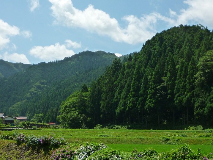2-1芦津集落周辺の山並み_17630_marked.jpg