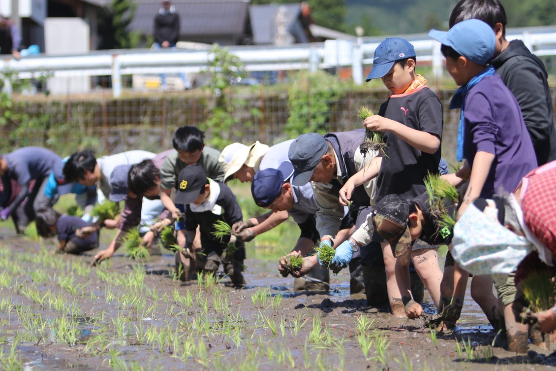 子ども農業体験（田植え）_121341_marked.jpg